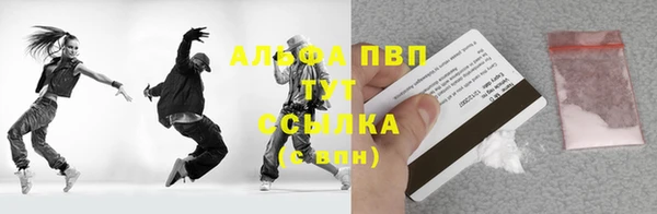гашик Арсеньев