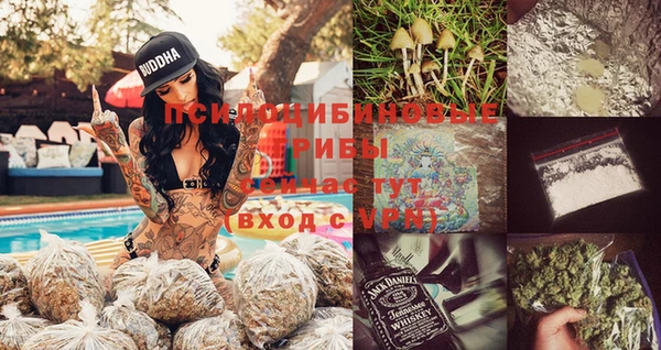прущие крисы Аркадак